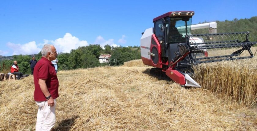 Ordu’da Buğday Hasadında Yeni Dönem: Paletli Biçerdöver Tarlada