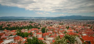 Softinays – Web Tasarım ve Yazılım Hizmetleri