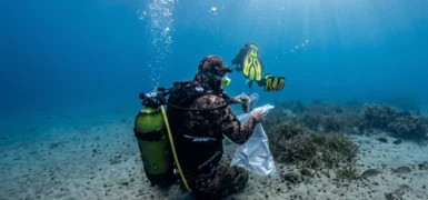 Güvercinada Açıklarında Deniz Dibi Temizliği Yapıldı