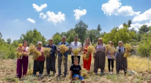 Mersin’de Yerel Tohumların Geleceğe Taşınması İçin Çalışmalar Sürüyor