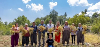 Mersin’de Yerel Tohumların Geleceğe Taşınması İçin Çalışmalar Sürüyor