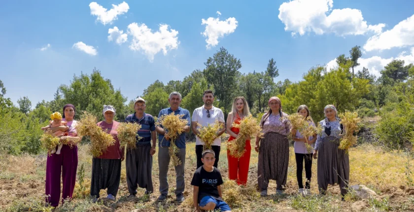 Mersin’de Yerel Tohumların Geleceğe Taşınması İçin Çalışmalar Sürüyor