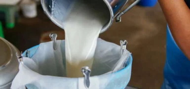 Ticari Süt Toplama Miktarı Haziran’da Yüzde 6,5 Arttı