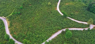 Ulubey’de 7 Kilometrelik Güzergah Asfaltlandı