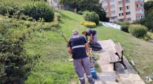 Maltepe’de Temizlik Çalışmaları Altıntepe’de Devam Ediyor Maltepe’de Temizlik Çalışmaları Altıntepe’de Devam Ediyor