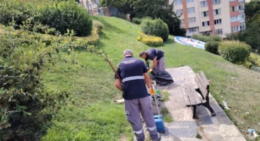 Maltepe’de Temizlik Çalışmaları Altıntepe’de Devam Ediyor