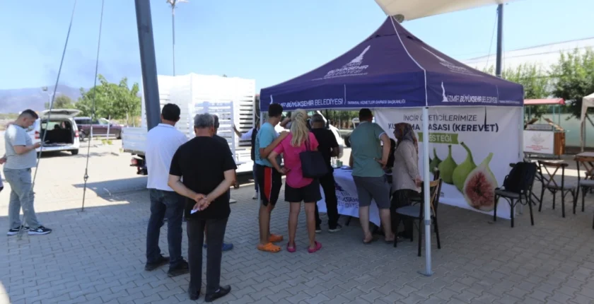 İzmir’de Efes Selçuklu İncir Üreticilerine Büyükşehir Desteği