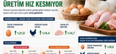 Kümes Hayvancılığında Haziran Ayında Üretim Hız Kesmiyor