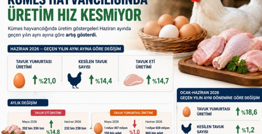 Kümes Hayvancılığında Haziran Ayında Üretim Hız Kesmiyor