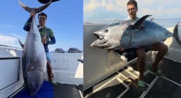 Orkinos avı: 118 kiloluk balık için 2,5 saat mücadele