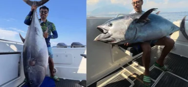 Orkinos avı: 118 kiloluk balık için 2,5 saat mücadele