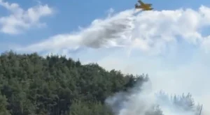 Balıkesir ve Bilecik’te yangınlar kontrol altında