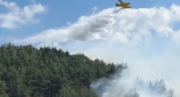 Balıkesir ve Bilecik’te yangınlar kontrol altında