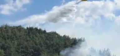 Balıkesir ve Bilecik’te yangınlar kontrol altında