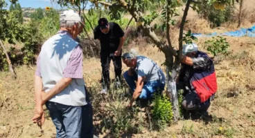 Balıkesir’de tarla faresine karşı uyarı
