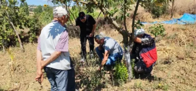 Balıkesir’de tarla faresine karşı uyarı