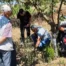 Balıkesir’de tarla faresine karşı uyarı