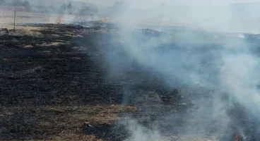 Beypazarı’nda Anız Yangını