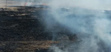 Beypazarı’nda Anız Yangını