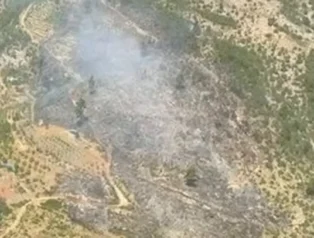 Bursa ve İzmir’de 3 yangın kontrol altında