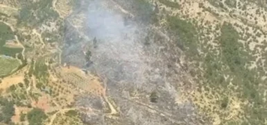 Bursa ve İzmir’de 3 yangın kontrol altında