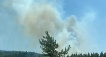 Bursa’da 3 noktada orman yangını