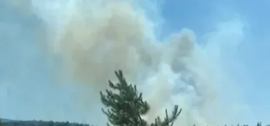Bursa’da 3 noktada orman yangını