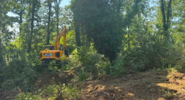 Kocaeli Derince’de mezarlıklara titiz bakım