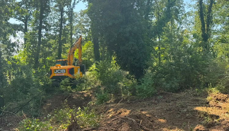 Kocaeli Derince’de mezarlıklara titiz bakım