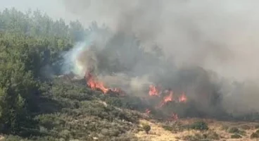 Çanakkale'de orman yangınına müdahale