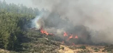 Çanakkale'de orman yangınına müdahale