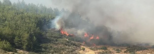 Çanakkale'de orman yangınına müdahale