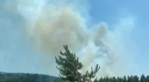 Çanakkale'de yangın ekiplerin müdahalesiyle kontrol altında