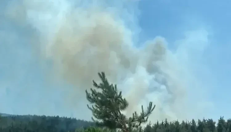 Çanakkale'de yangın ekiplerin müdahalesiyle kontrol altında