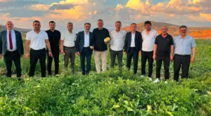 Delice kara kavunu bilimle geleceğe taşınıyor