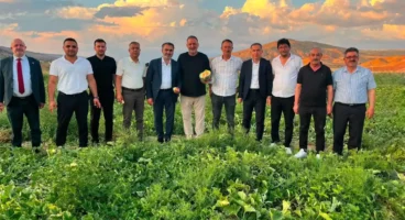 Delice kara kavunu bilimle geleceğe taşınıyor