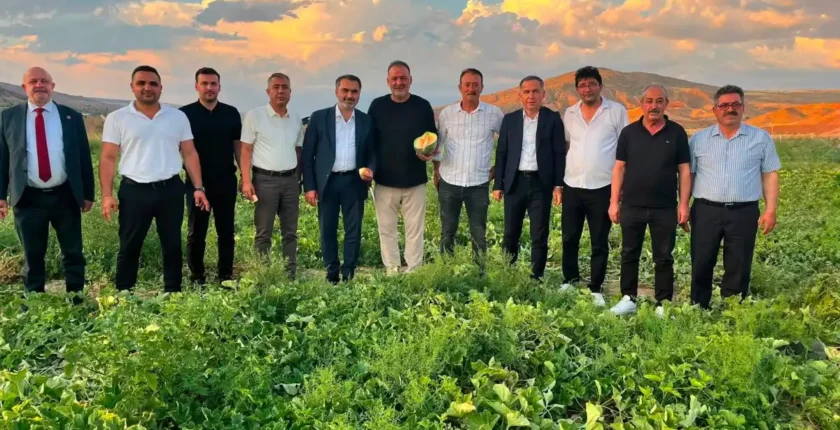 Delice kara kavunu bilimle geleceğe taşınıyor