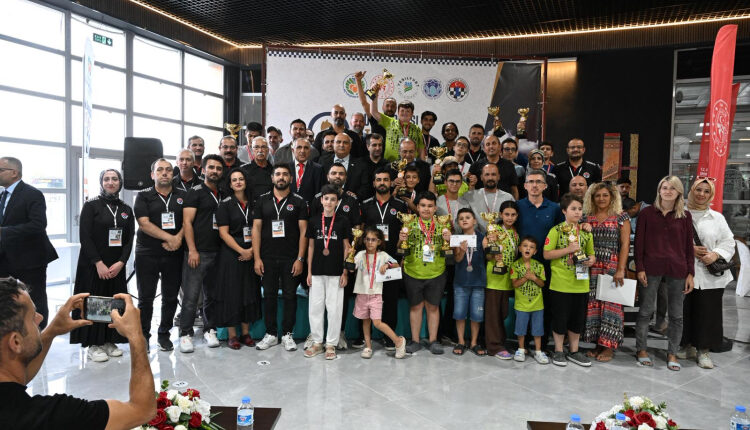 Uluslararası Altın Kayısı'da 'şah-mat'çılar ödüllendirildi