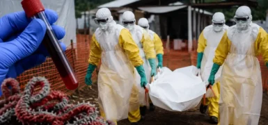 DSÖ’den Ebola uyarısı: KDC’de risk çok yüksek