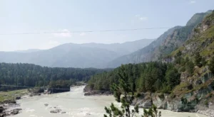 Eğitimci Hayat Aras: Altay’dan Anadolu’ya bitikler 4