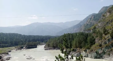 Eğitimci Hayat Aras: Altay’dan Anadolu’ya bitikler 4