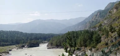 Eğitimci Hayat Aras: Altay’dan Anadolu’ya bitikler 4