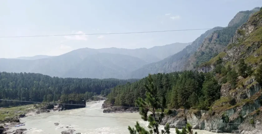 Eğitimci Hayat Aras: Altay’dan Anadolu’ya bitikler 4
