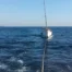 Fethiye açıklarında sürüklenen teknedeki 5 kişi kurtarıldı