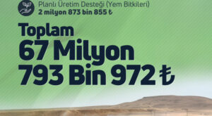 Çiftçilere 67 milyon TL'lik tarımsal destek hesaplarda