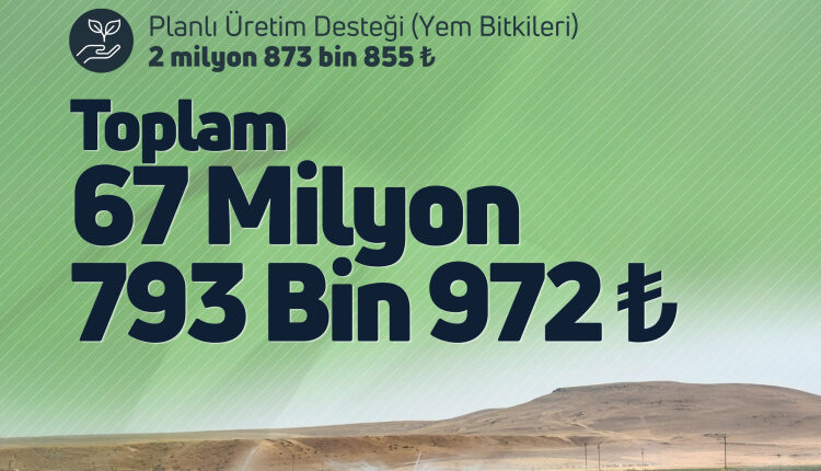 Çiftçilere 67 milyon TL'lik tarımsal destek hesaplarda