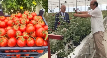 Isparta’da tarımda yeni dönem: Gül serasından topraksız domatese, tam otomasyonlu üretim