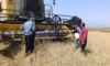 Kars’ta biçerdöver hasadı kontrolleri sürüyor
