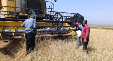 Kars’ta biçerdöver hasadı kontrolleri sürüyor