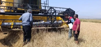 Kars’ta biçerdöver hasadı kontrolleri sürüyor